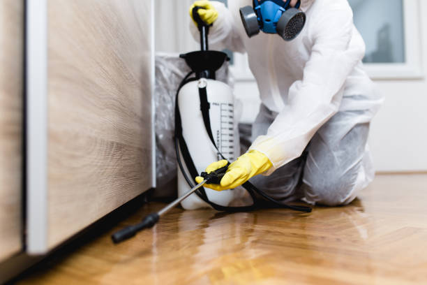 Best Affordable Pest Control Services  in Ilion, NY