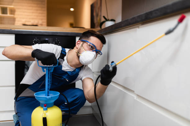 Best Rat Extermination Near Me  in Ilion, NY