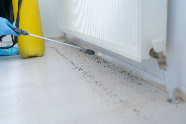 Best Pest Removal Services  in Ilion, NY
